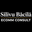 Silviu Bacila Consultant Ecommerce logo